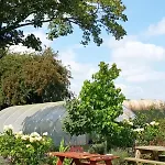 100 Year Old Family Villa