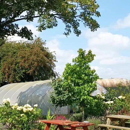 100 Year Old Family וילה